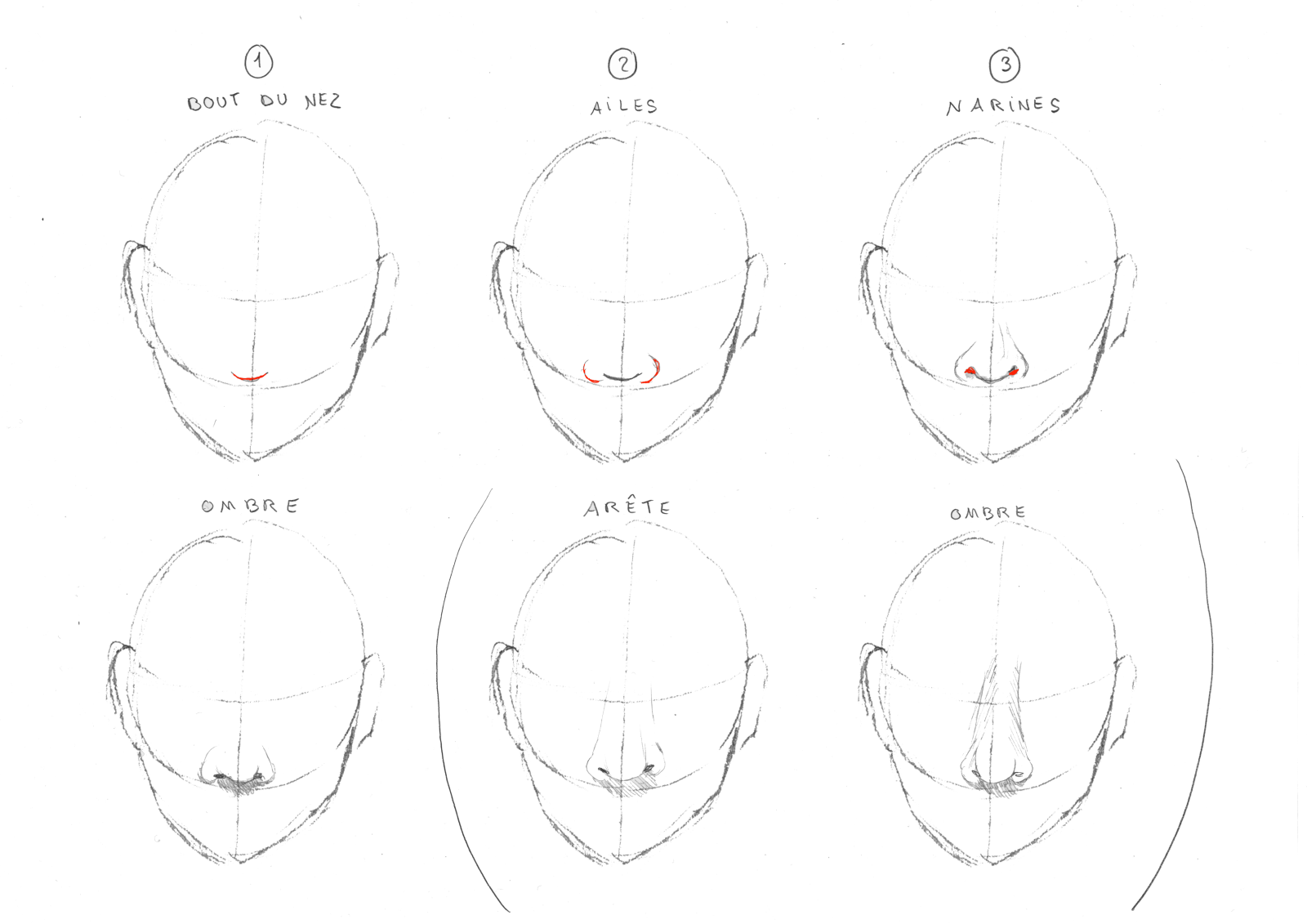 How To Draw Anime Faces Girl  Boy Drawing Guides  Video