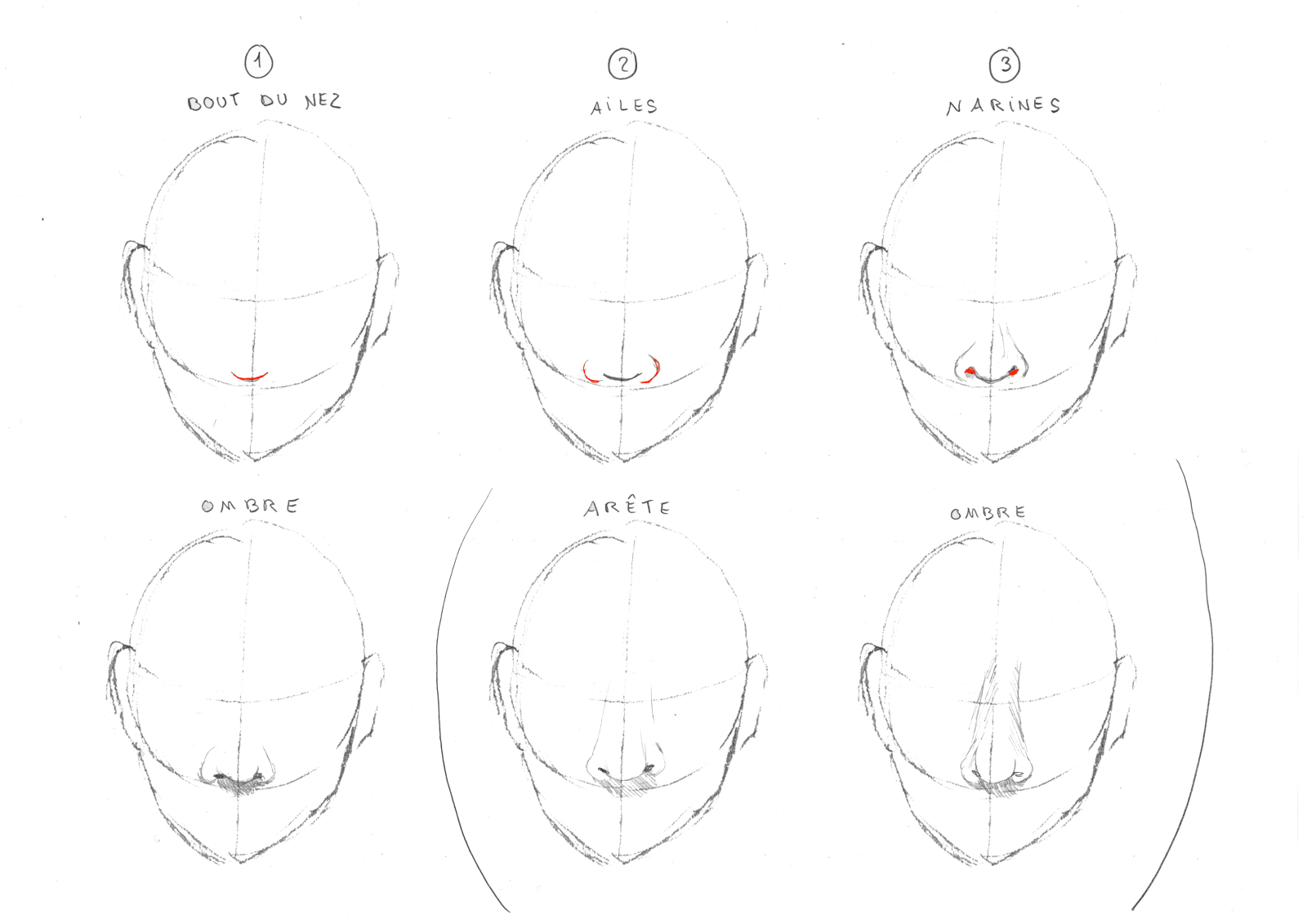 Comment dessiner un nez? - Apolline