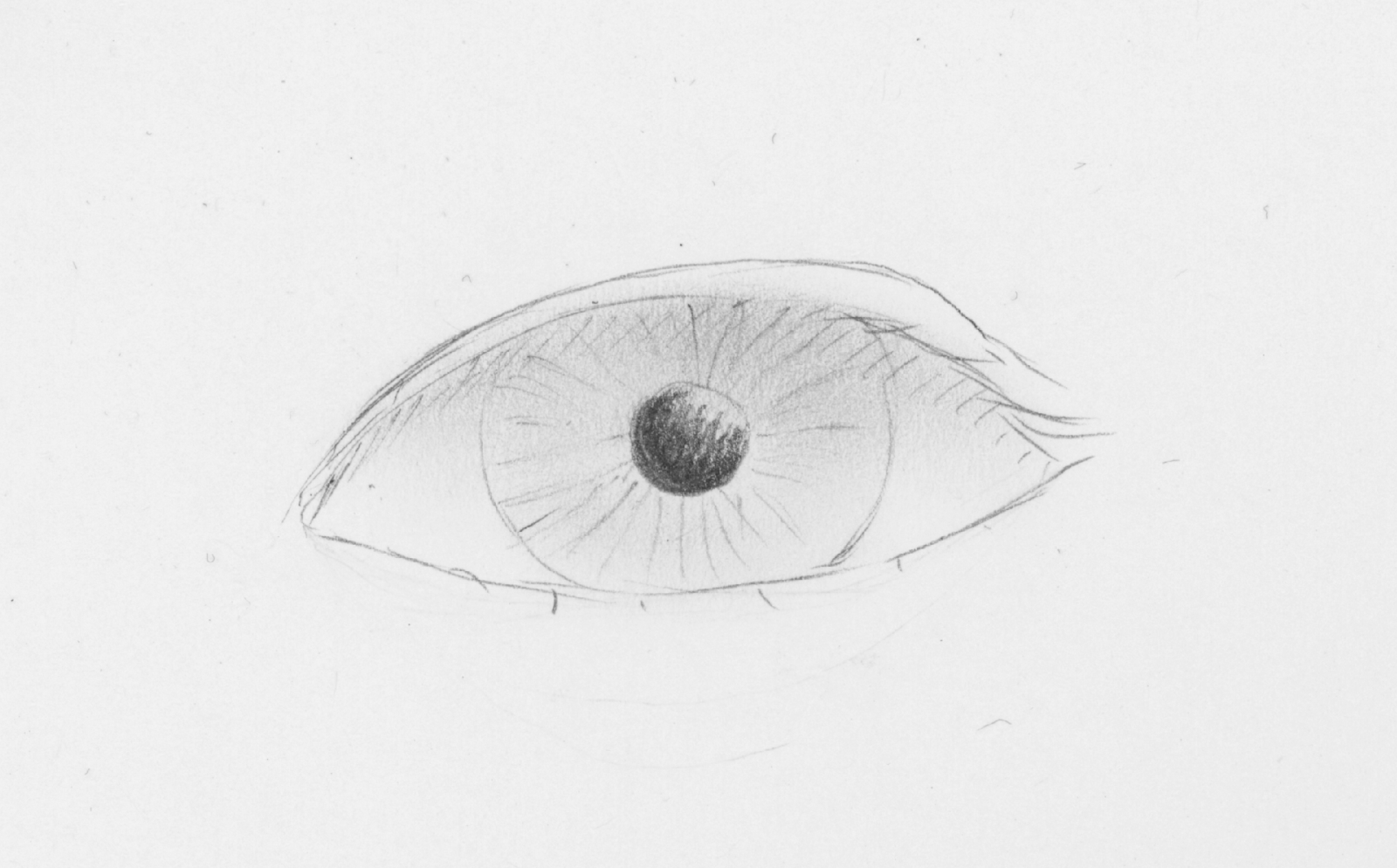 oeil6 dessin