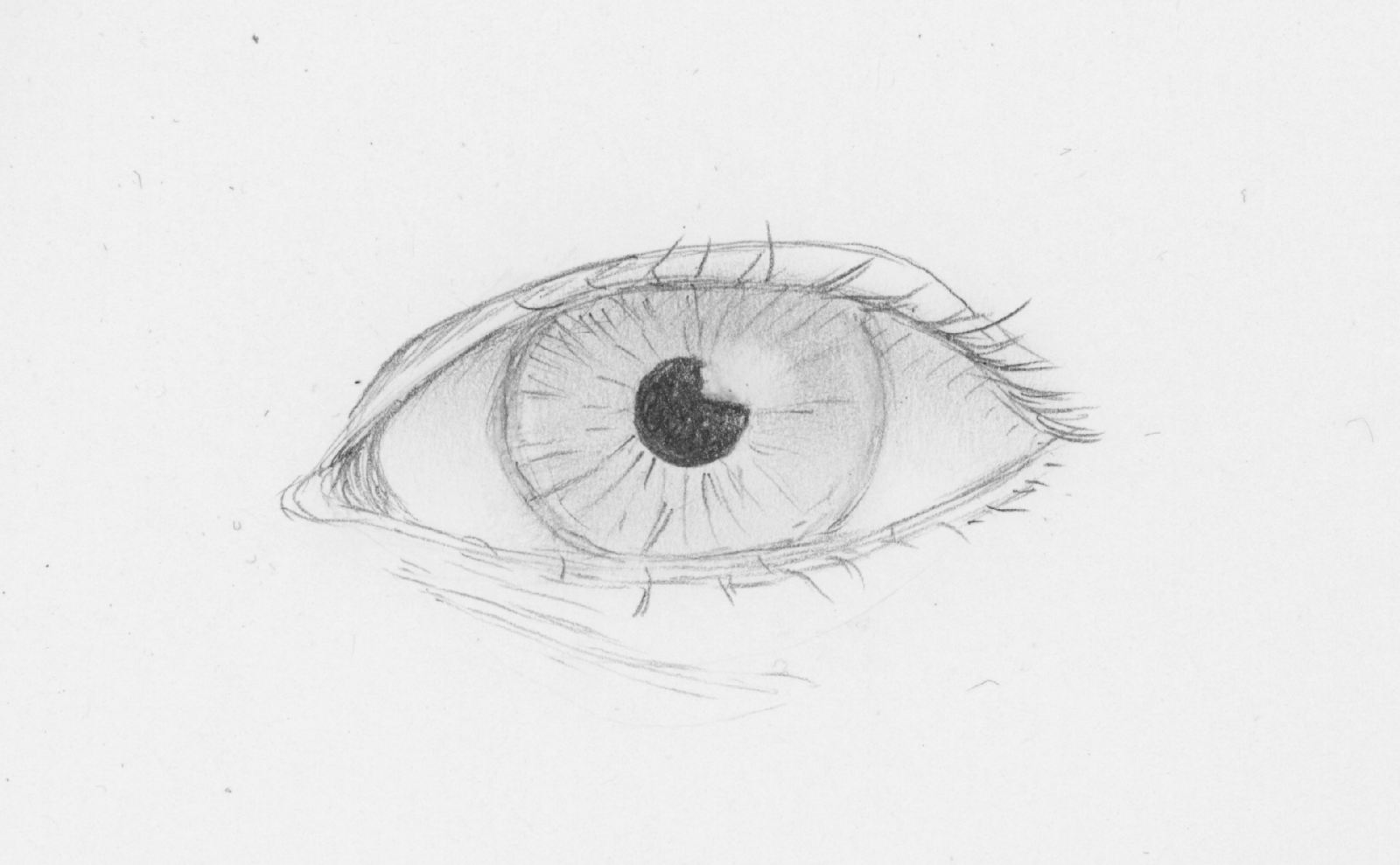 eye 7 drawing