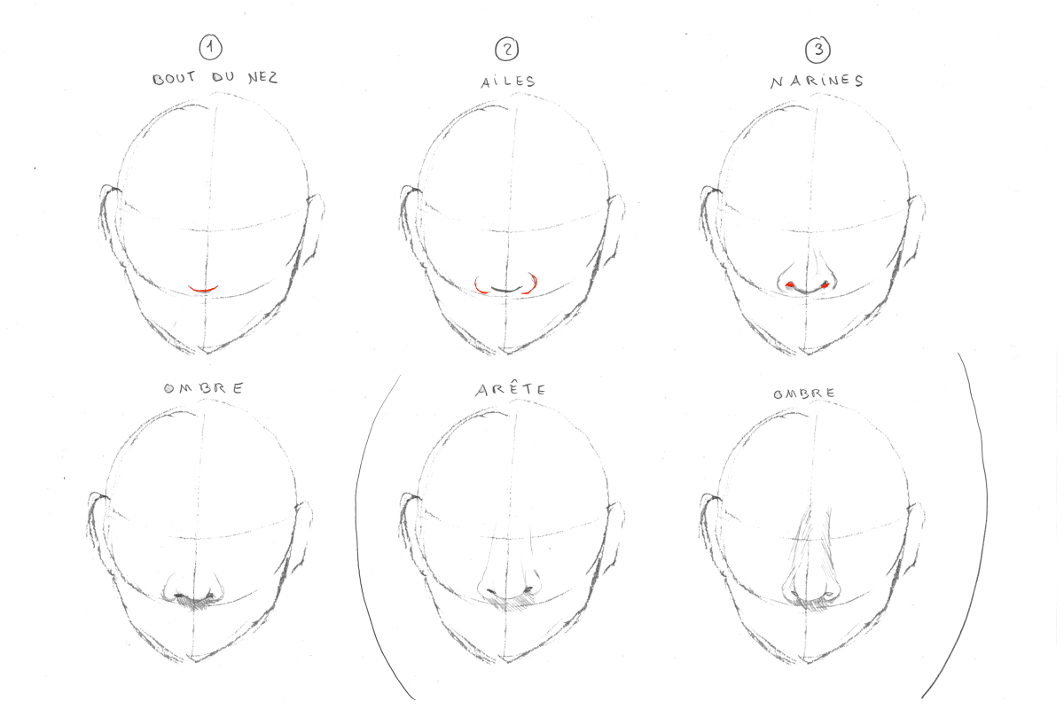 Comment Dessiner Un Nez Manga Comment dessiner un nez? - Apolline