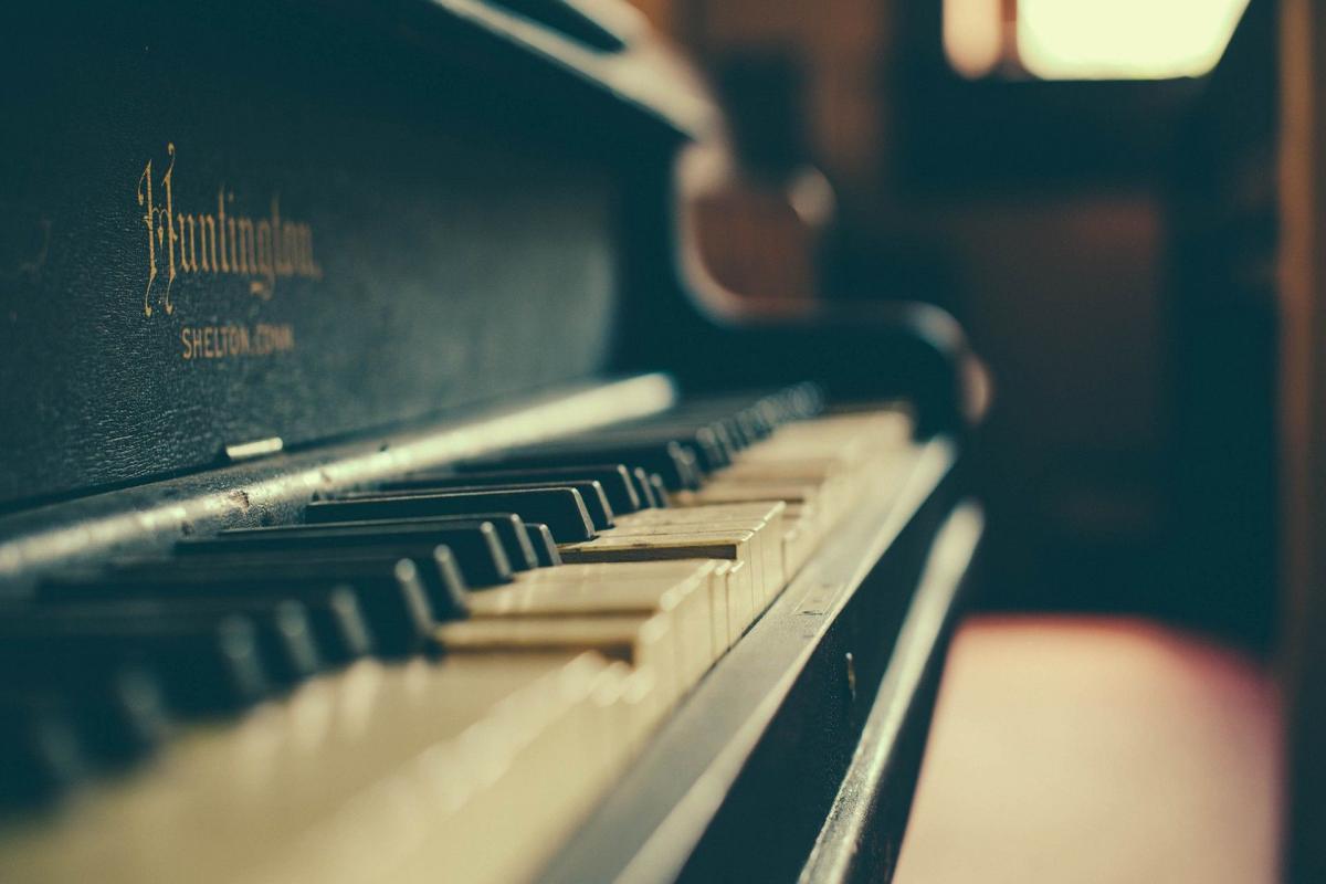 The physical technique of the piano - Apolline