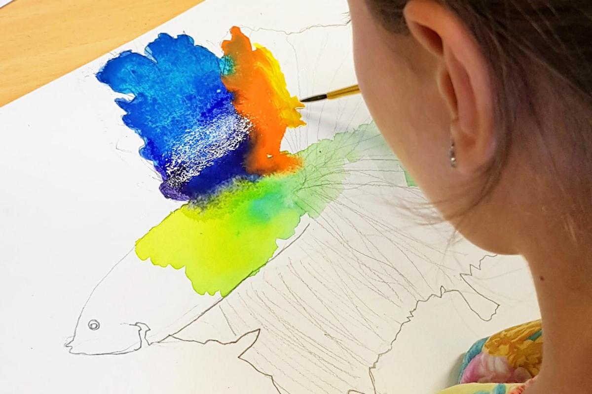 Cours de Dessin